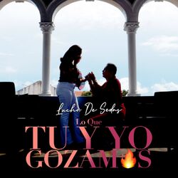 Cover of Lo Que Tu y Yo Gozamos