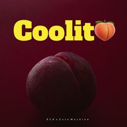 Cover of Coolito