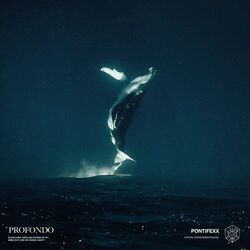 Cover of Profondo