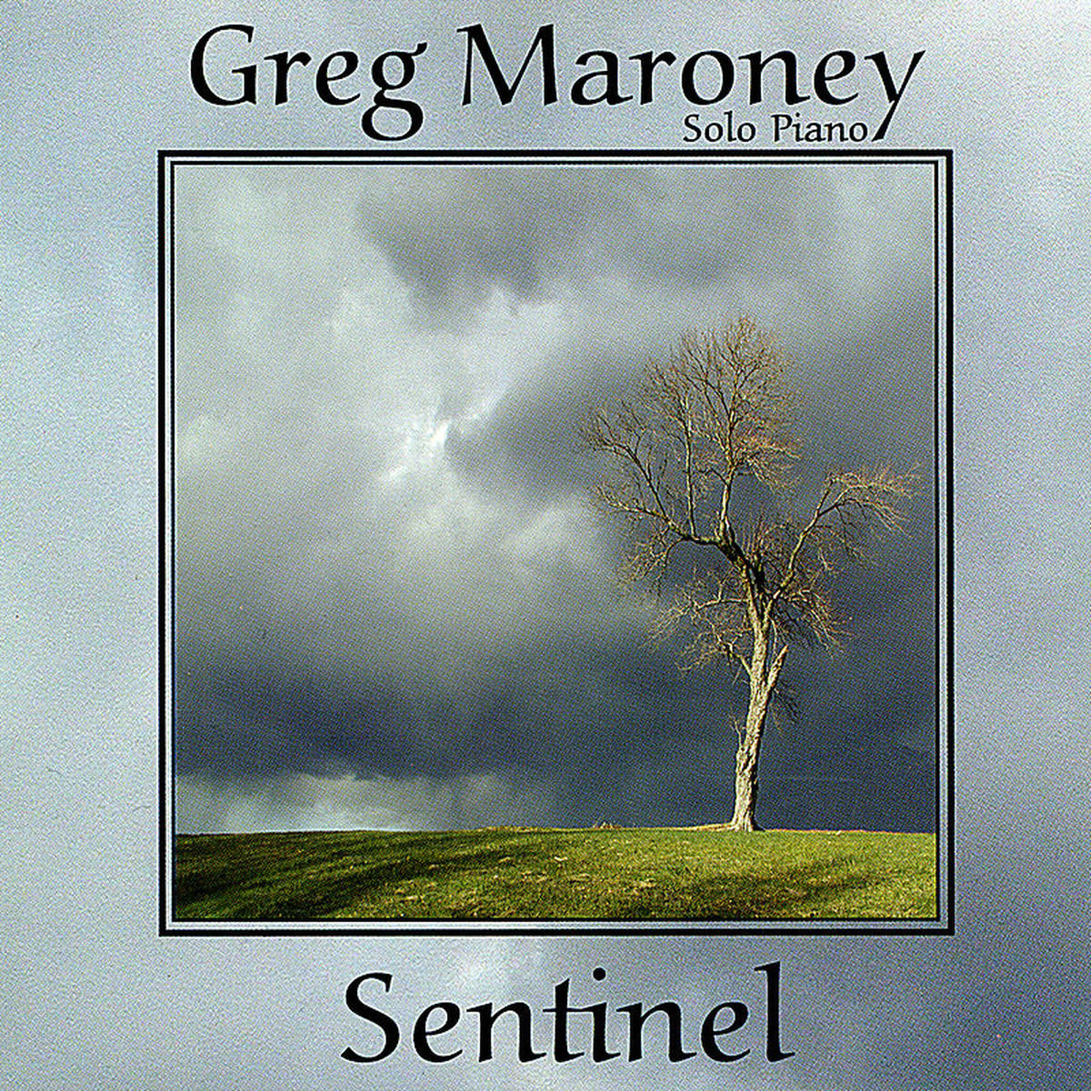 Album cover of Sentinel