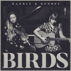 Cover of Birds