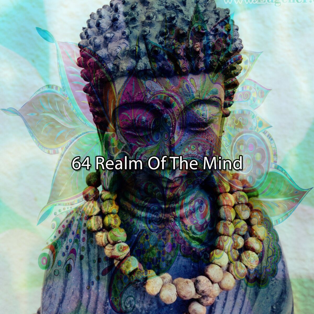 Album cover of 64 Realm Of The Mind