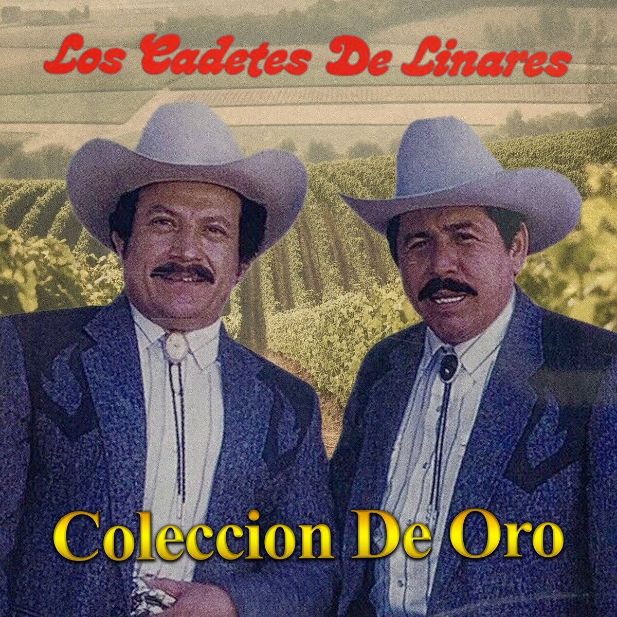 Album cover of Colección de Oro