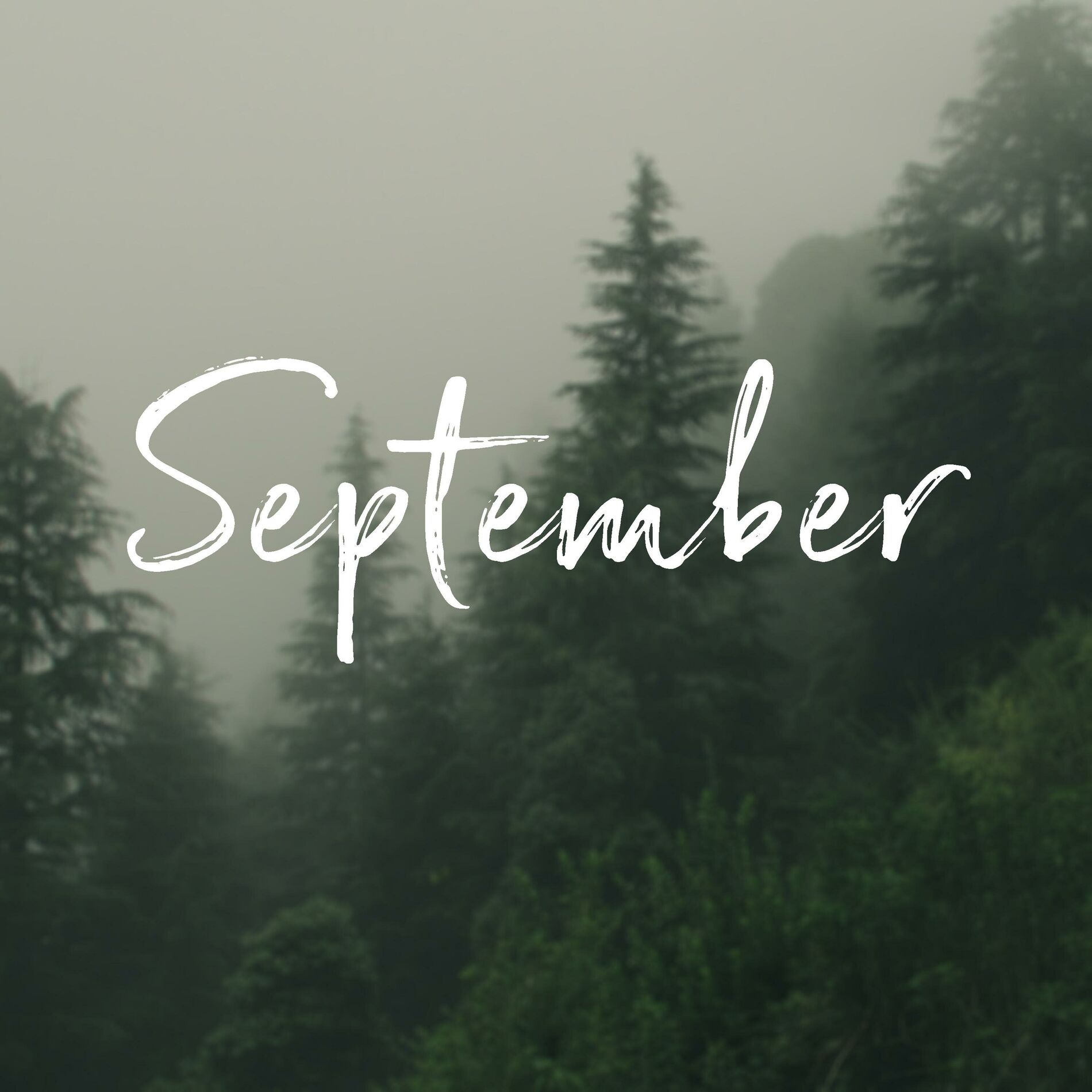 Album cover of September