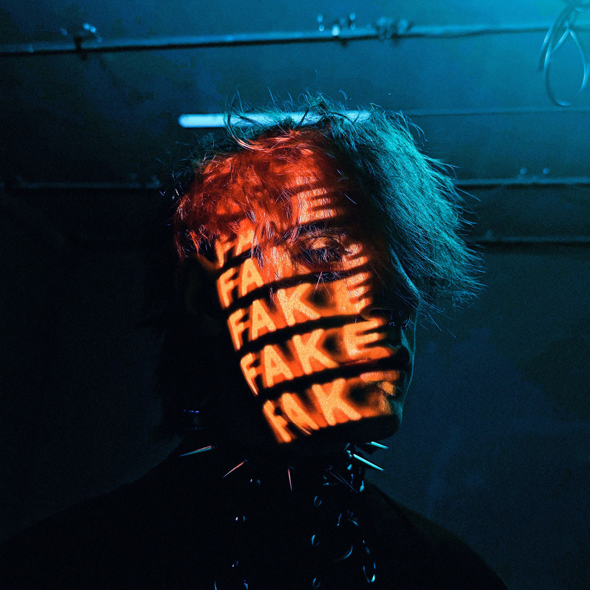 Album cover of Fake Routine
