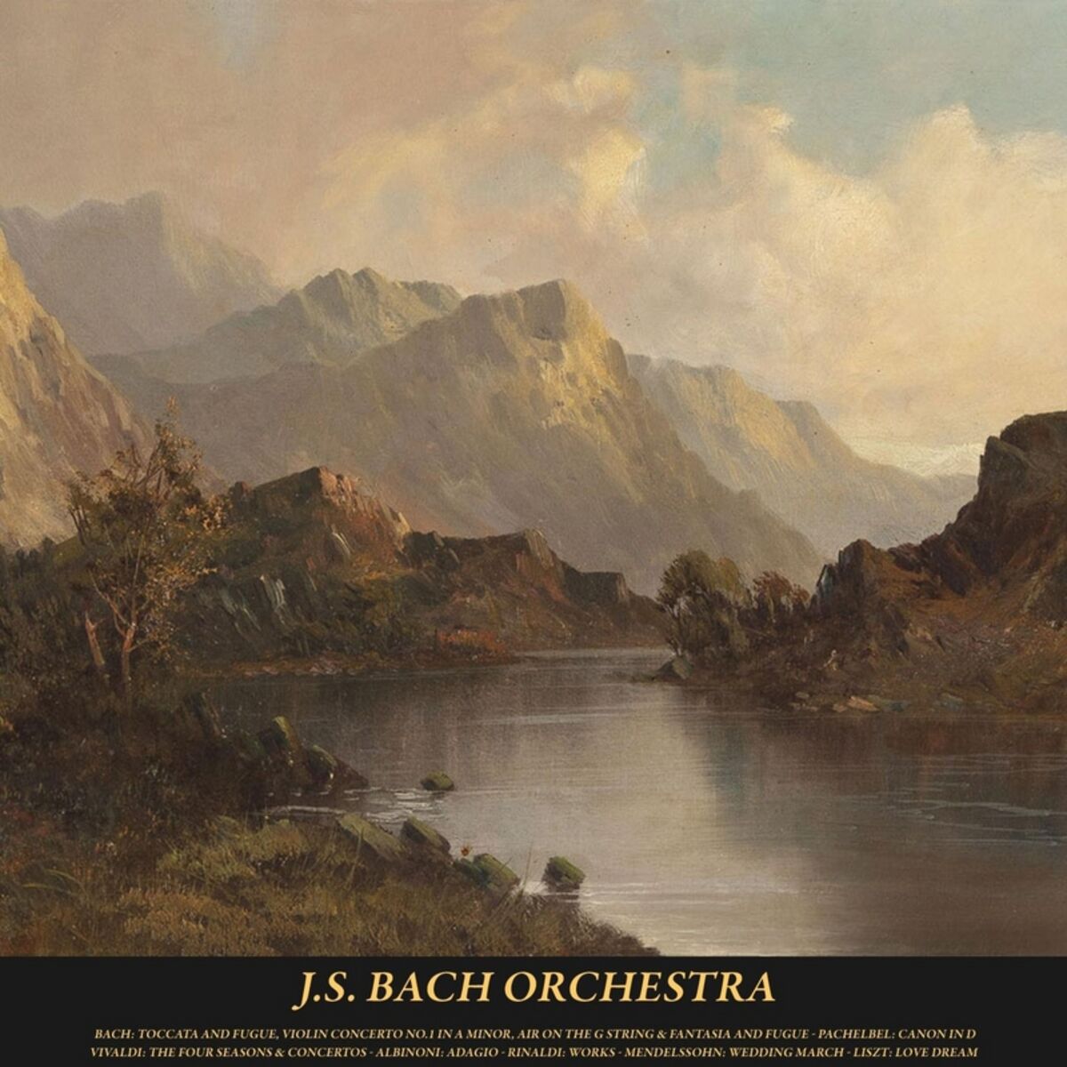Album cover of Bach: Toccata and Fugue, Violin Concerto No. 1 in A Minor, Air On the G String & Fantasia and Fugue - Pachelbel: Canon in D - Viva