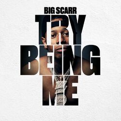 Cover of Try Being Me