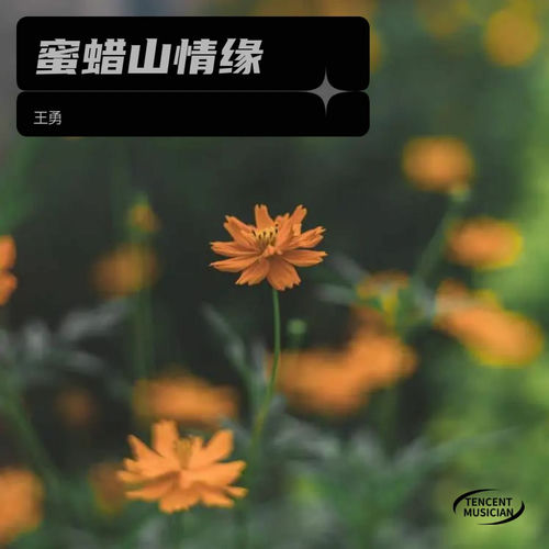 蜜蜡山情缘