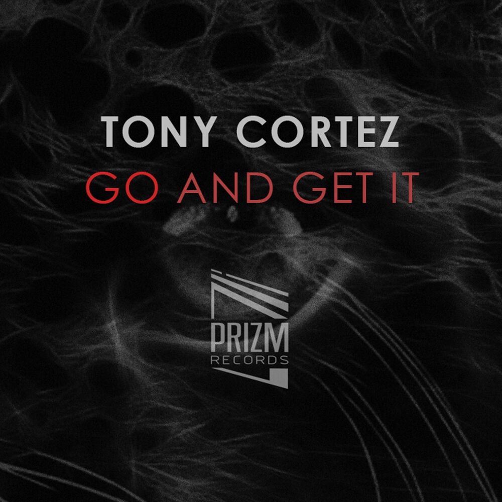 Picture of Go and Get It