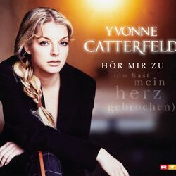 Cover of Du hast mein Herz gebrochen