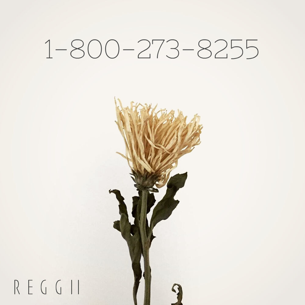 Picture of 1-800-273-8255
