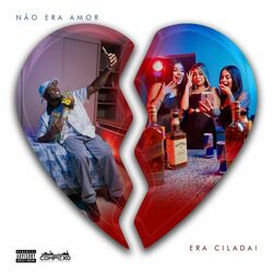 Cover of Não Era Amor Era Cilada