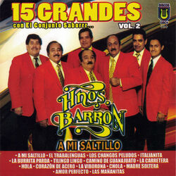 Cover of 15 Grandes Con el Conjunto Saborrr...