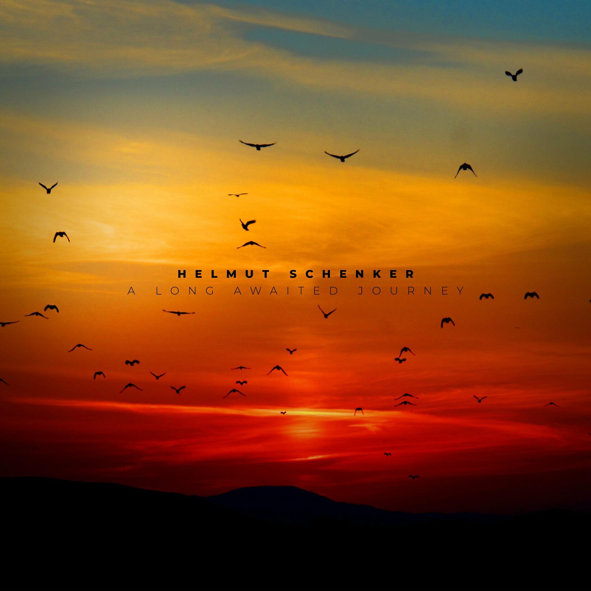 Album cover of A Long Awaited Journey