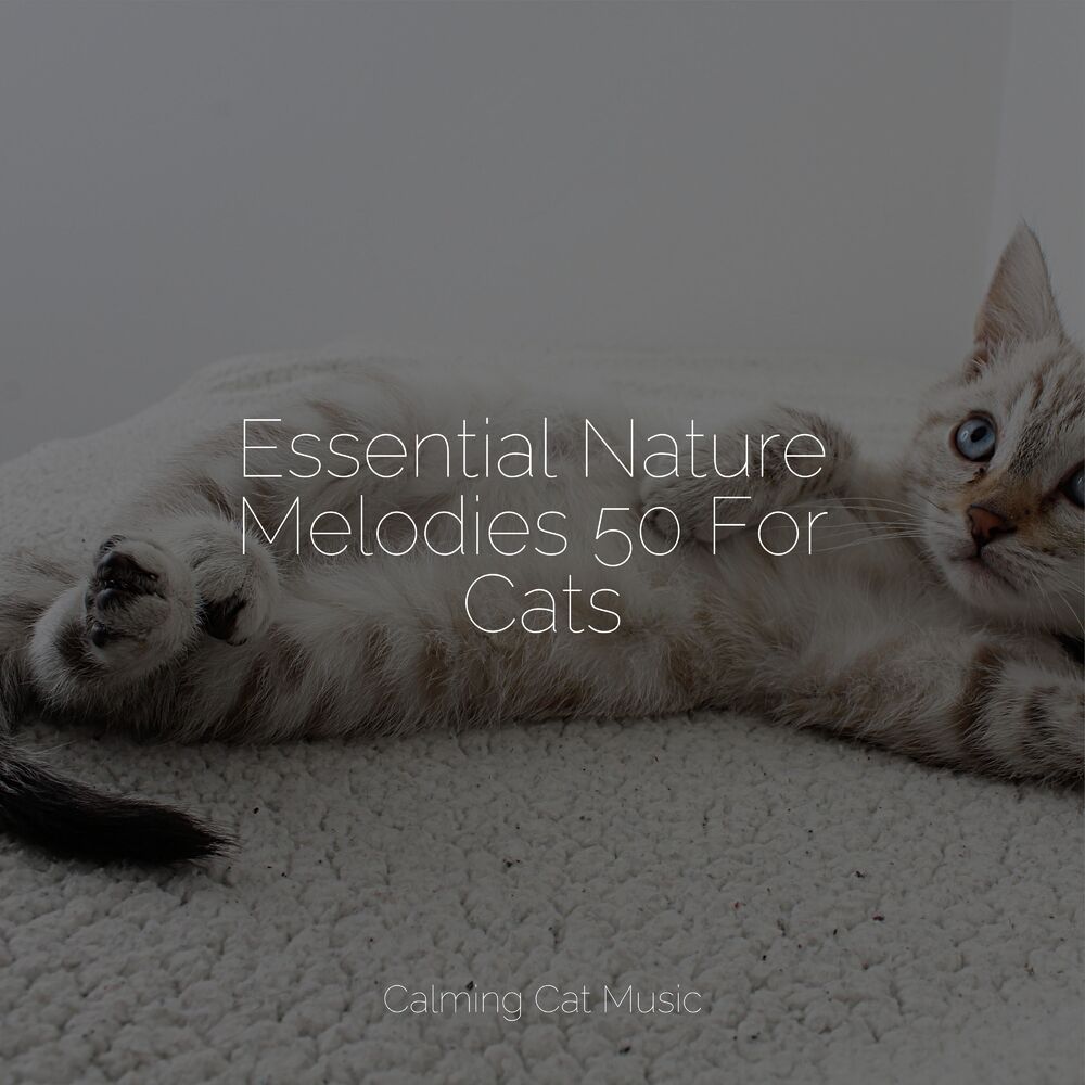 Picture of Essential Nature Melodies 50 For Cats