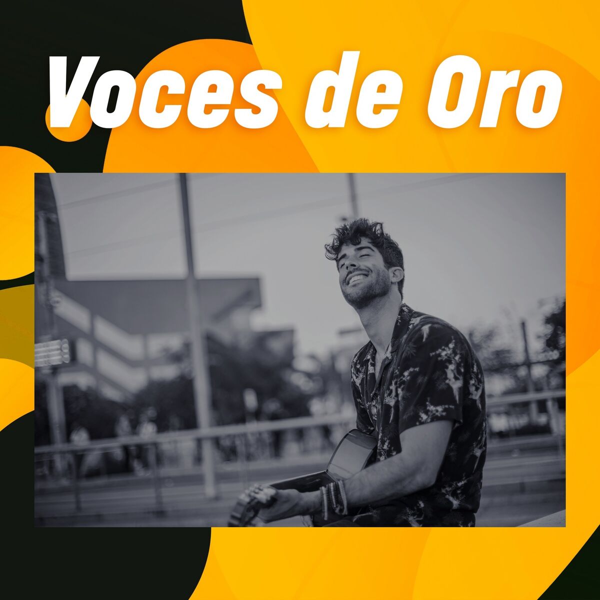 Album cover of Voces de oro