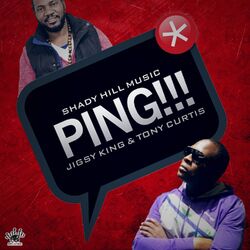 Cover of Ping!!!