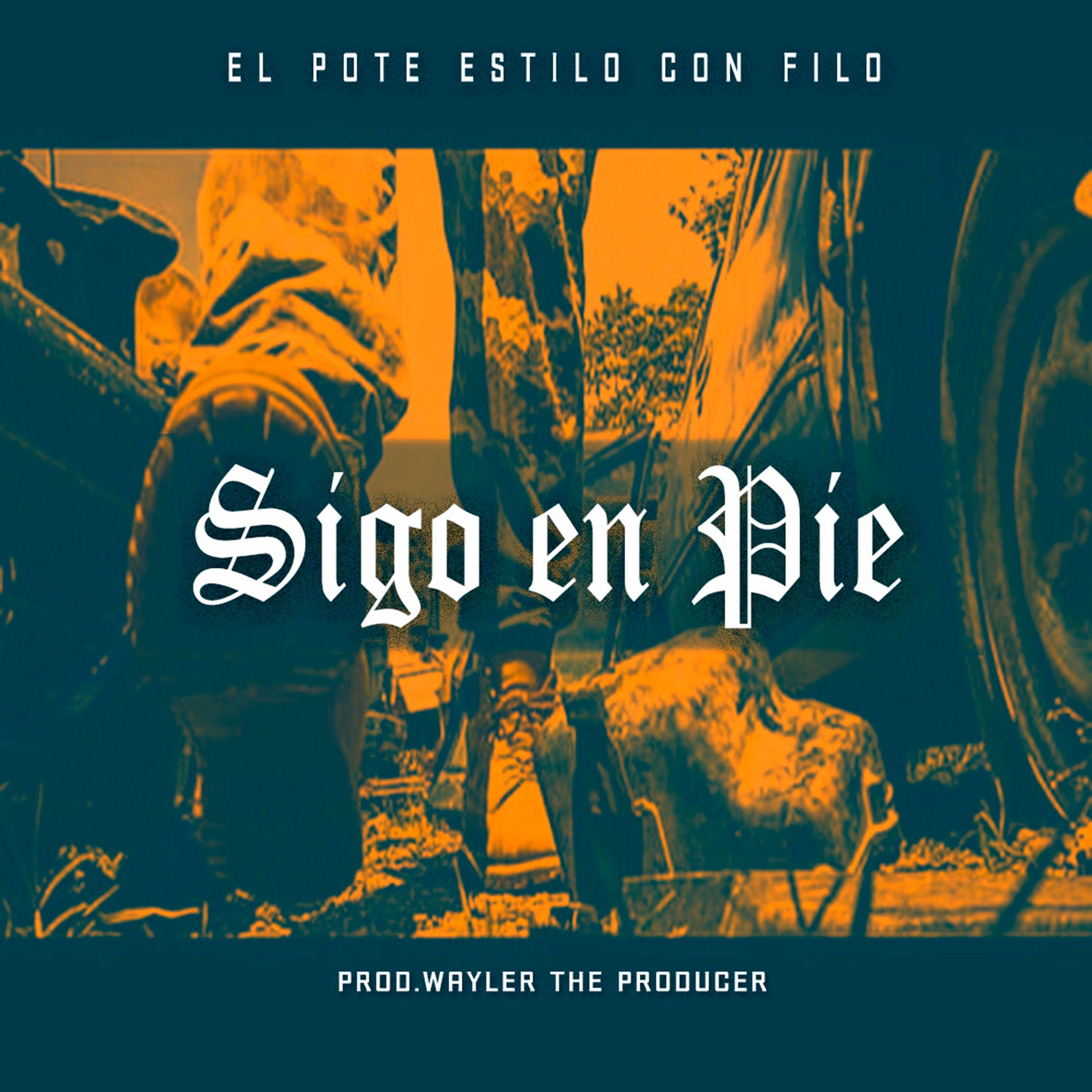 Album cover of Sigo En Pie