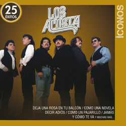 Cover of Íconos 25 Éxitos