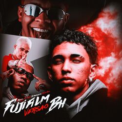 Cover of Fujifilm (Versão BH)