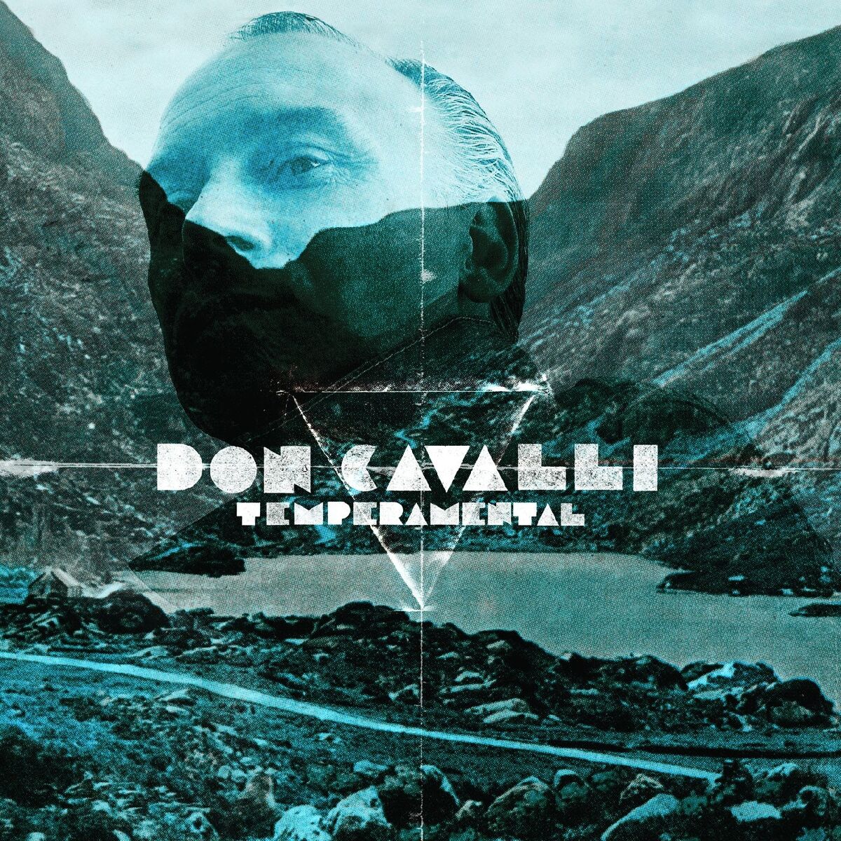 Album cover of Temperamental
