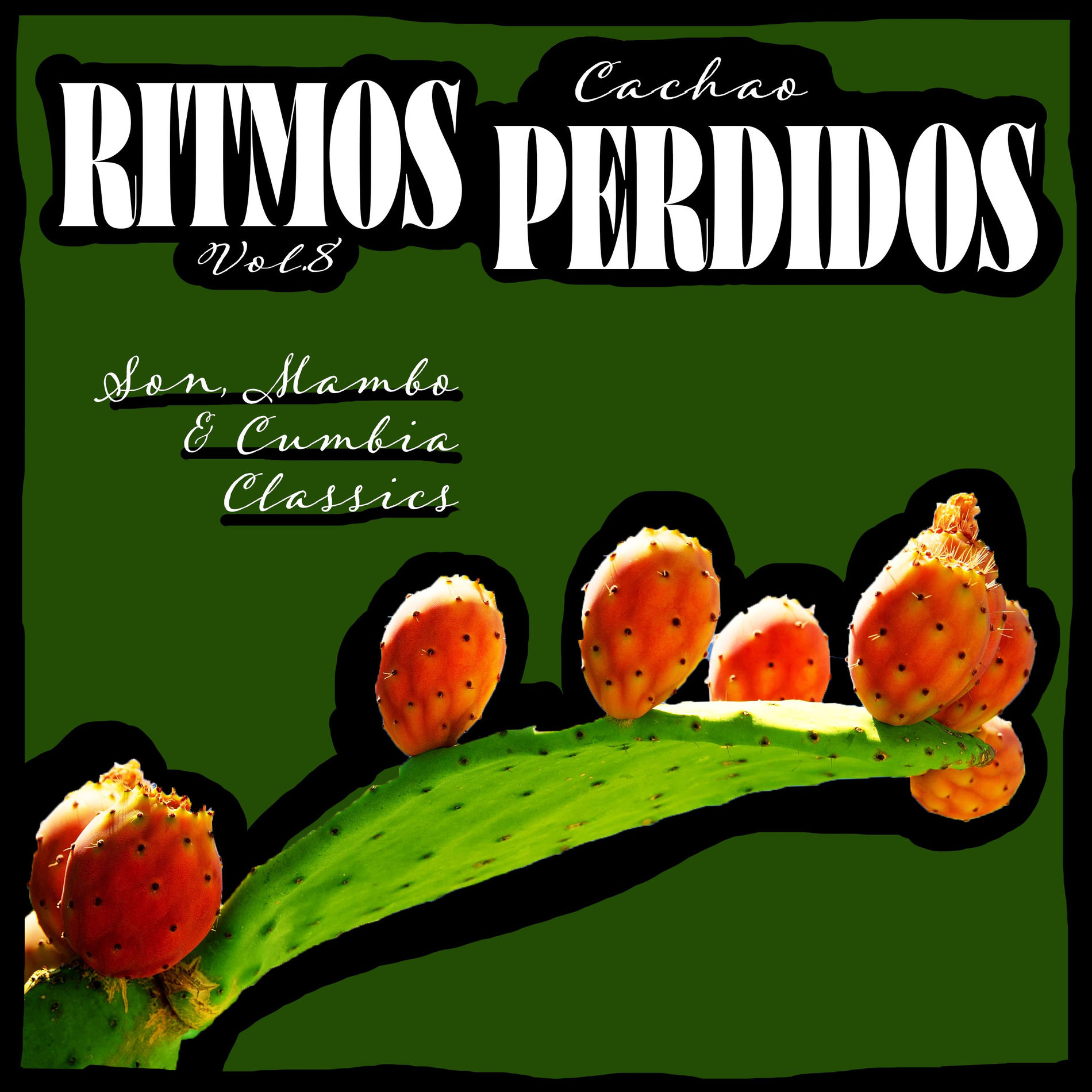 Album cover of Ritmos Perdidos, Vol. 8 - Son, Mambo & Cumbia Classics
