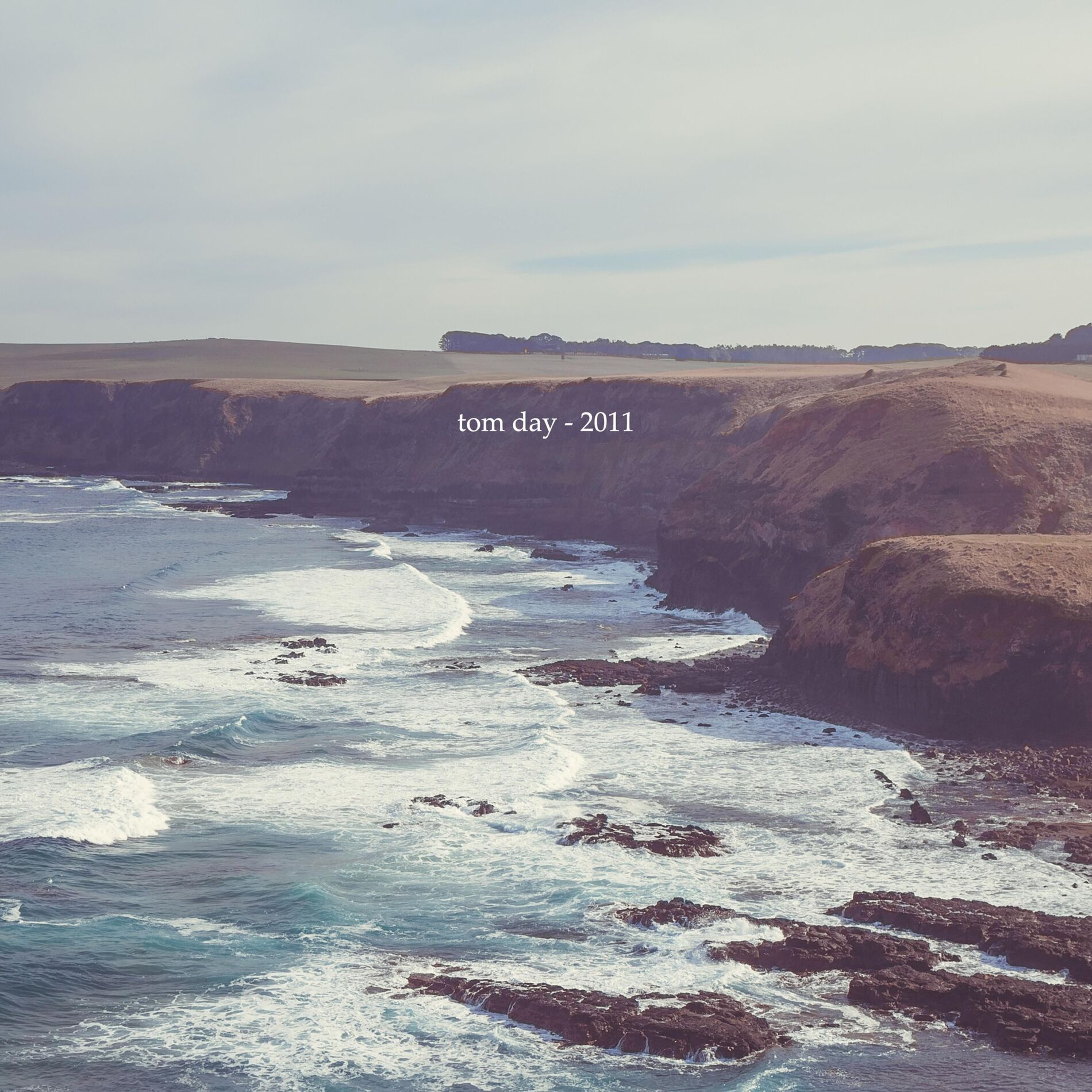 Album cover of 2011