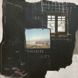 Cover of Collapse List