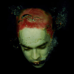 Cover of Salvador