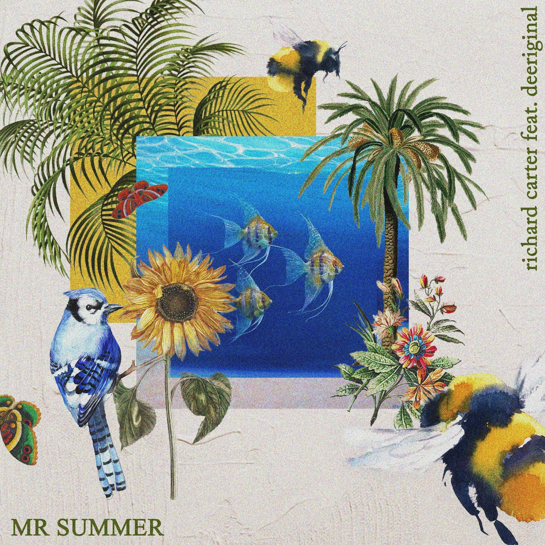 Album cover of Mr Summer (feat. DeeRiginal)