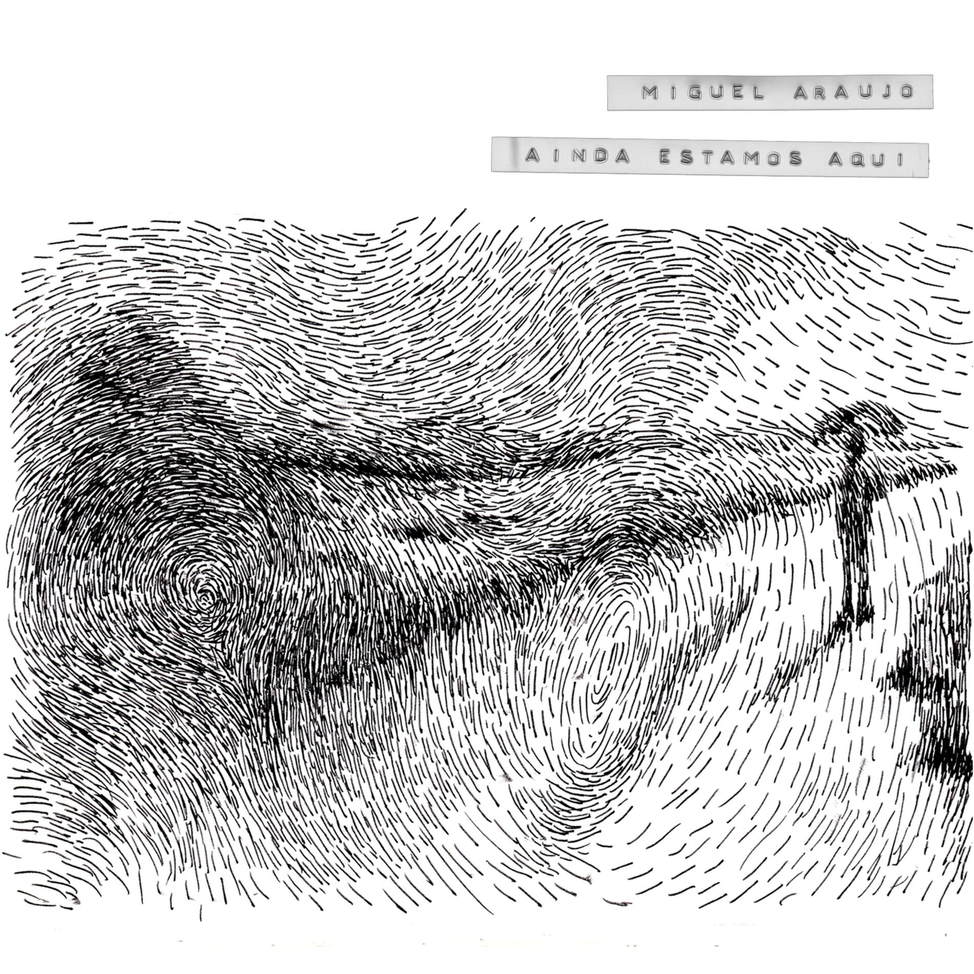 Album cover of Ainda Estamos Aqui