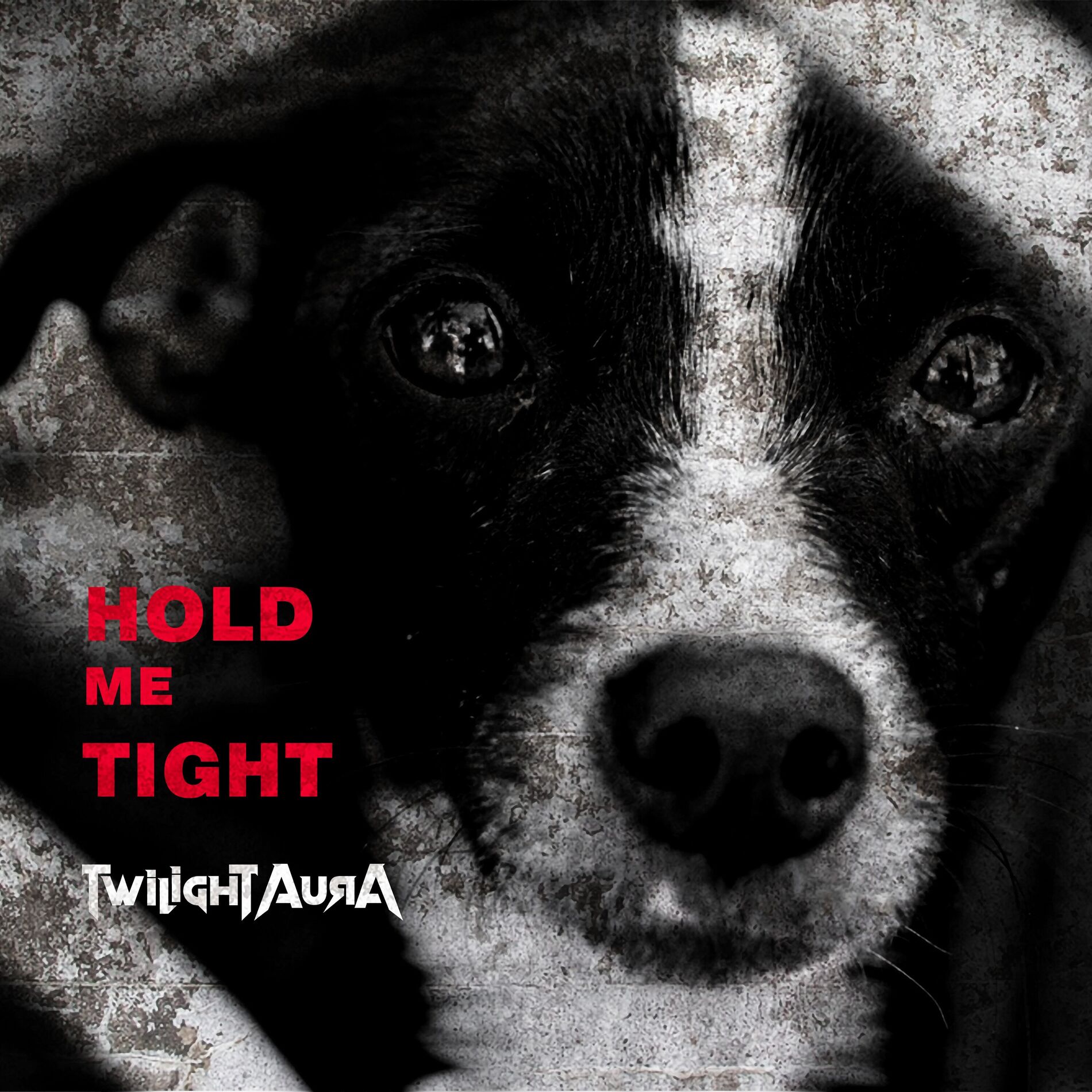 Album cover of Hold Me Tight