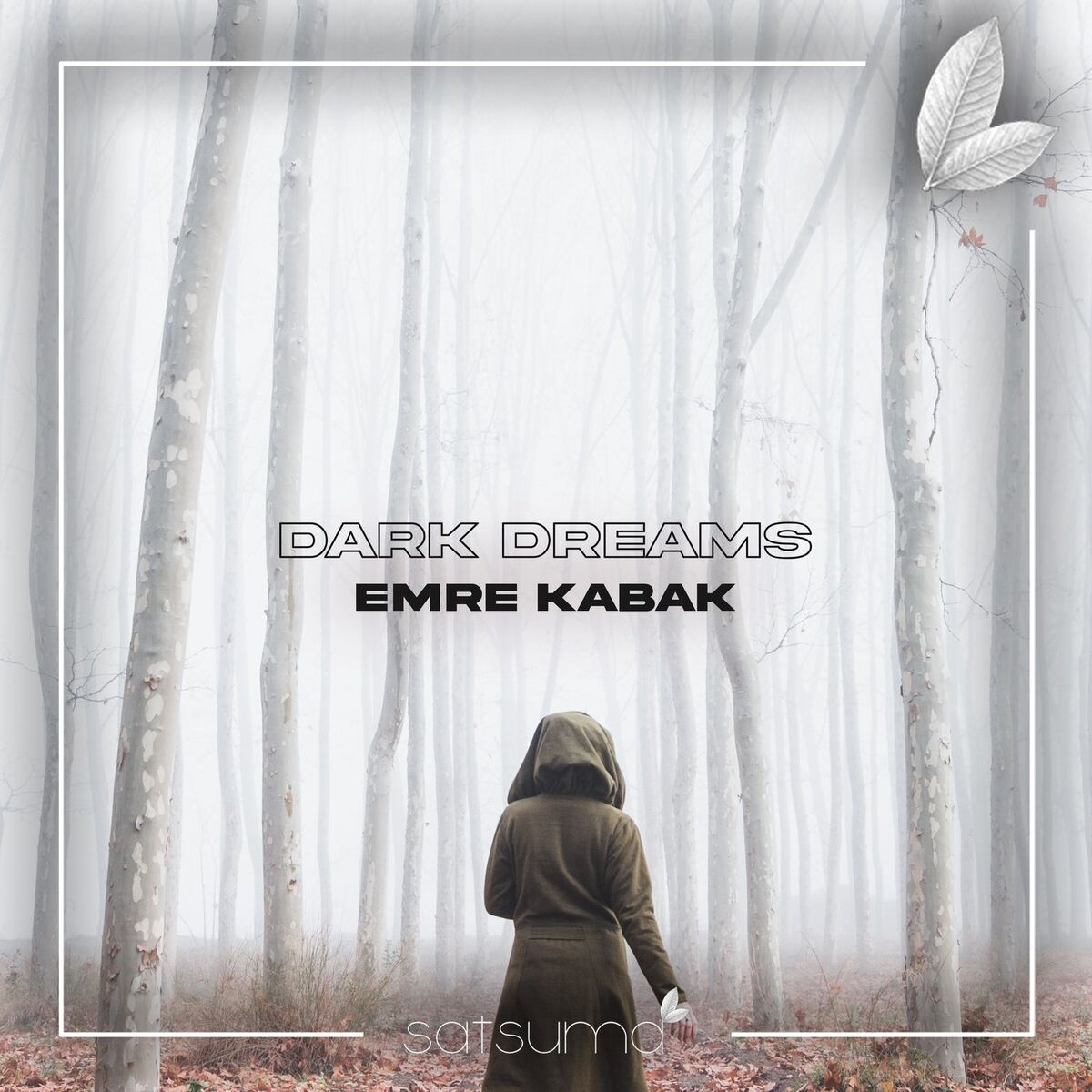 Album cover of Dark Dreams