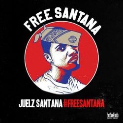 Cover of #FREESANTANA