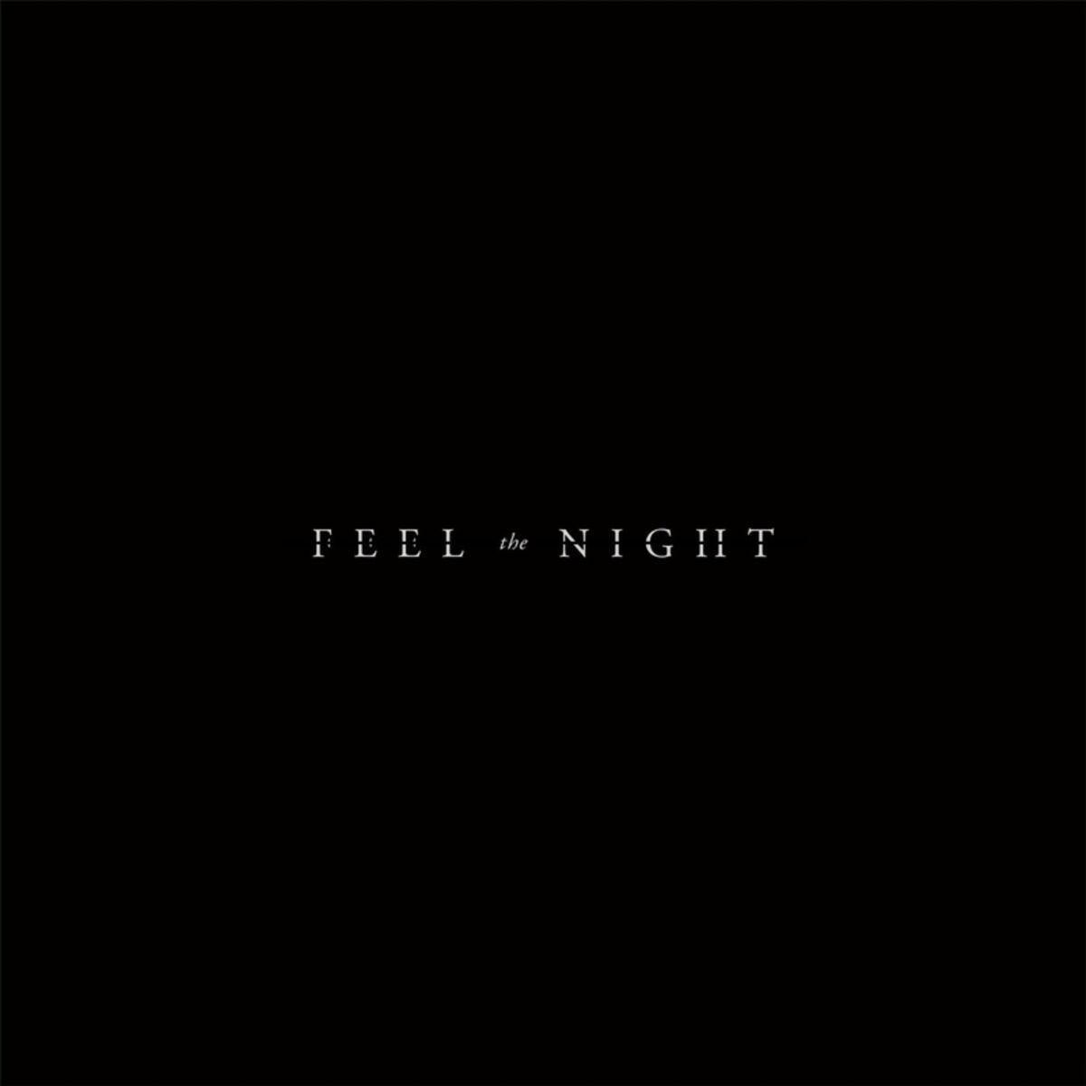 Album cover of Feel the Night
