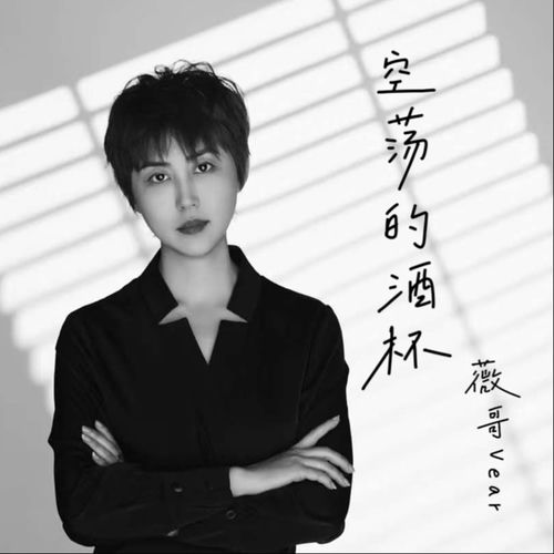 空荡的酒杯（有些话无人可说）