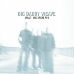 Cover of What I Was Made For