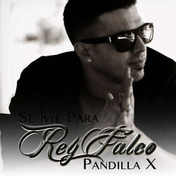 Cover of Se Me Para