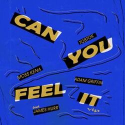 Cover of Can You Feel It (feat. James Hurr) (VIP Mix)