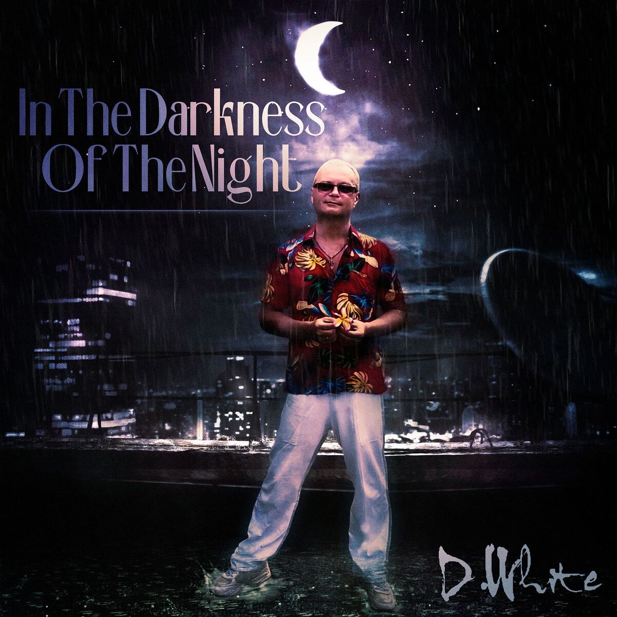 Album cover of In the Darkness of the Night