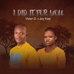 Cover of I Did It for You