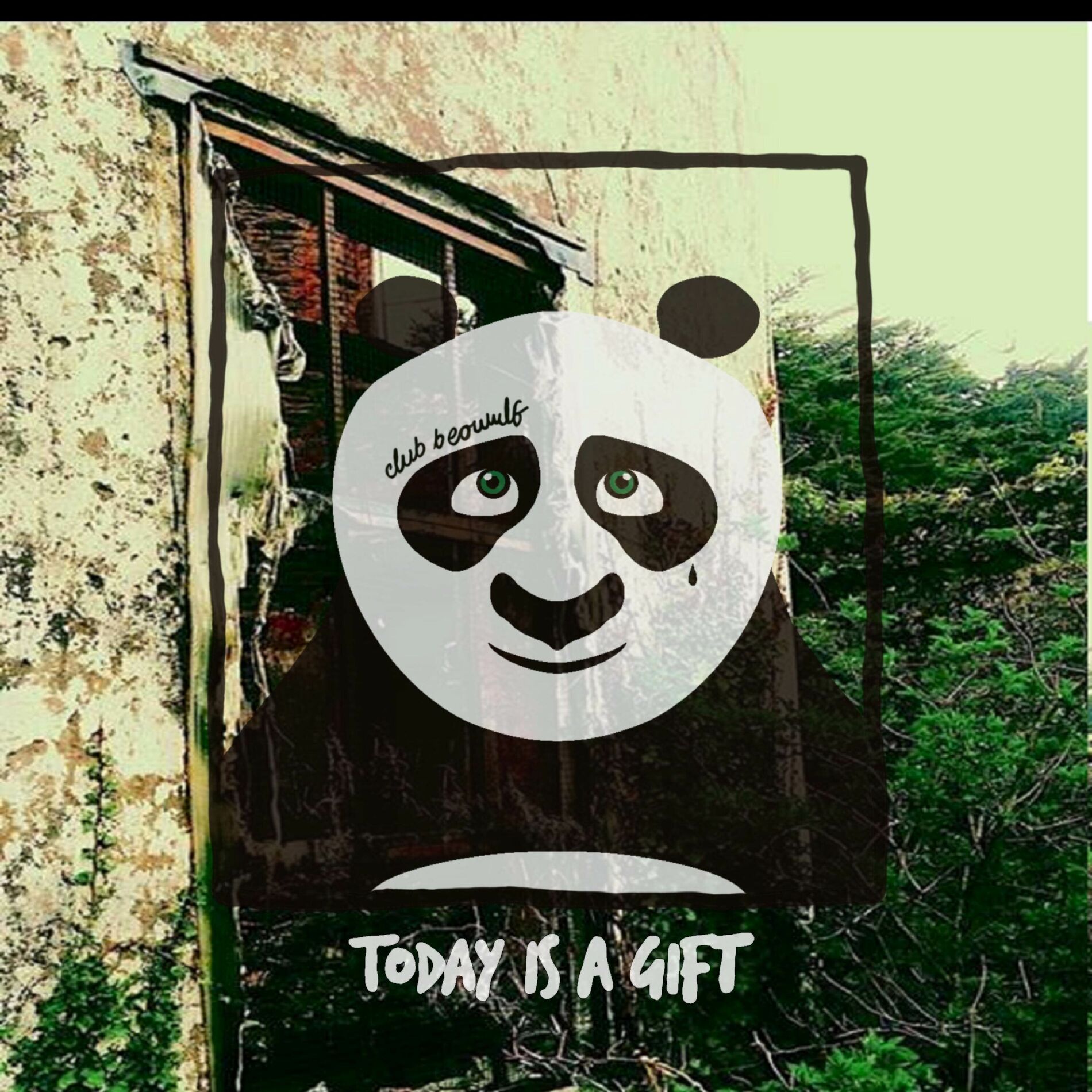 Album cover of today is a gift