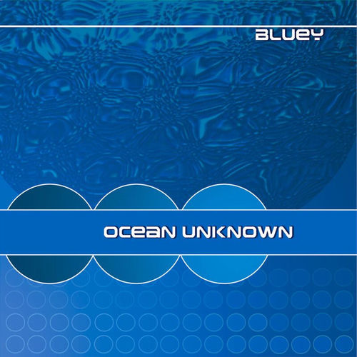 Ocean Unknown sleeve