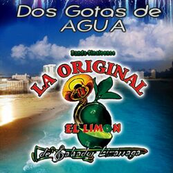 Cover of Dos Gotas de Agua