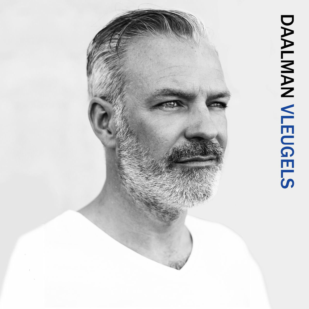 Album cover of Vleugels