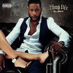 Cover of Thug Life