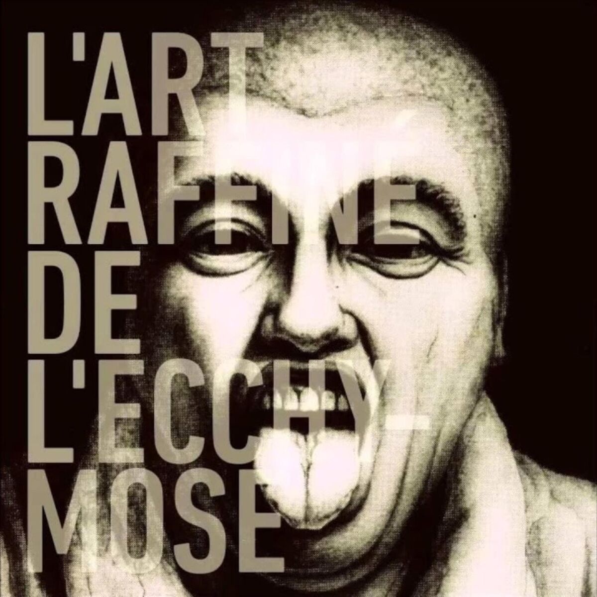 Album cover of L'art raffiné de l'ecchymose