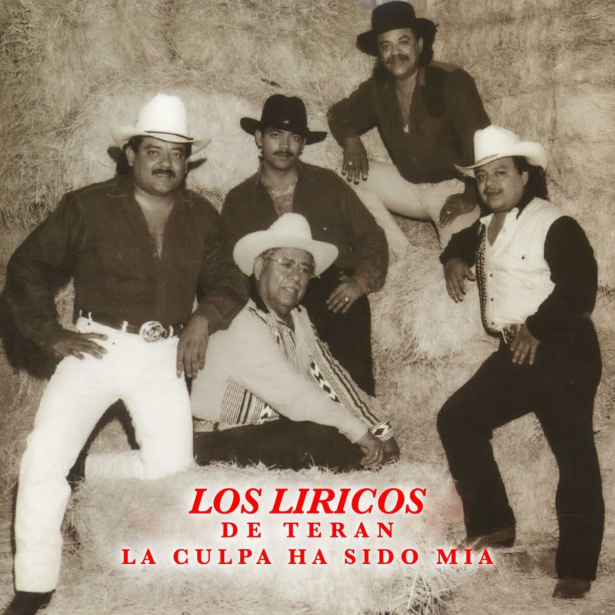 Album cover of La Culpa Ha Sido Mia