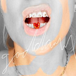 Cover of Goddamn