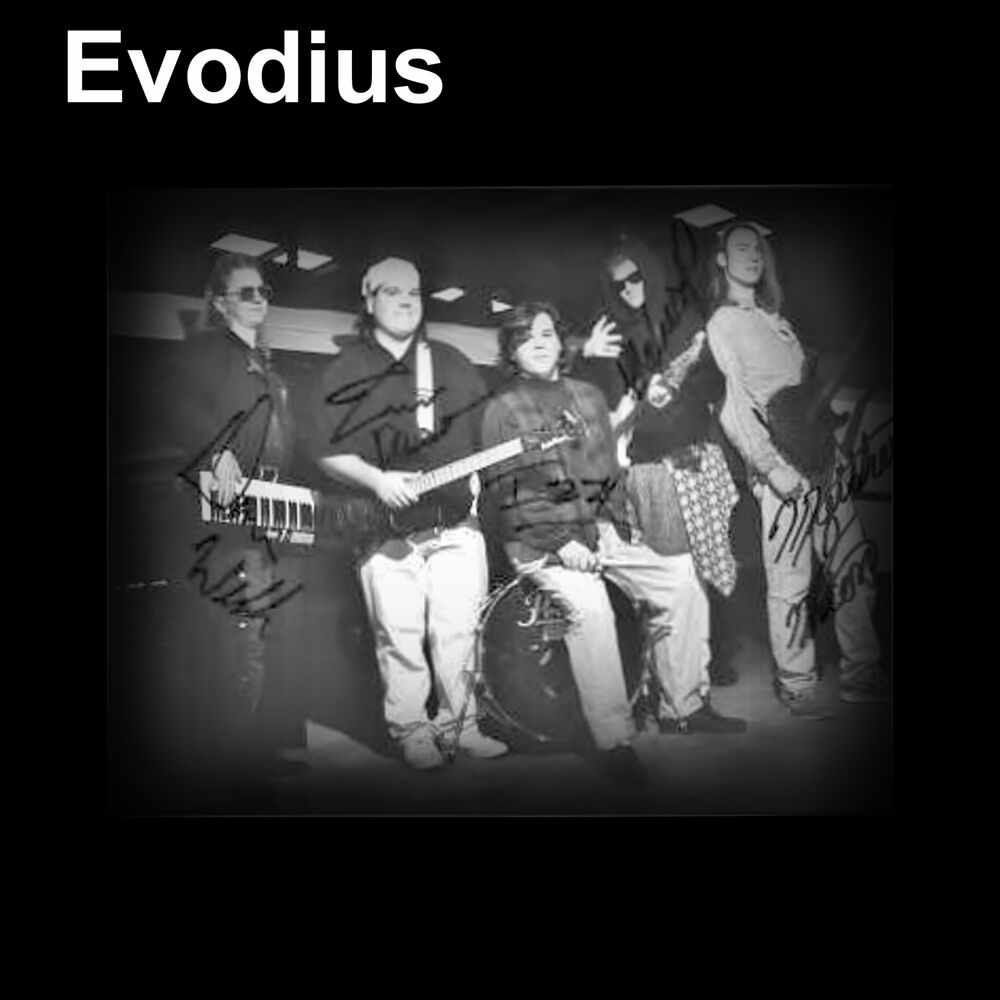 Picture of Evodius